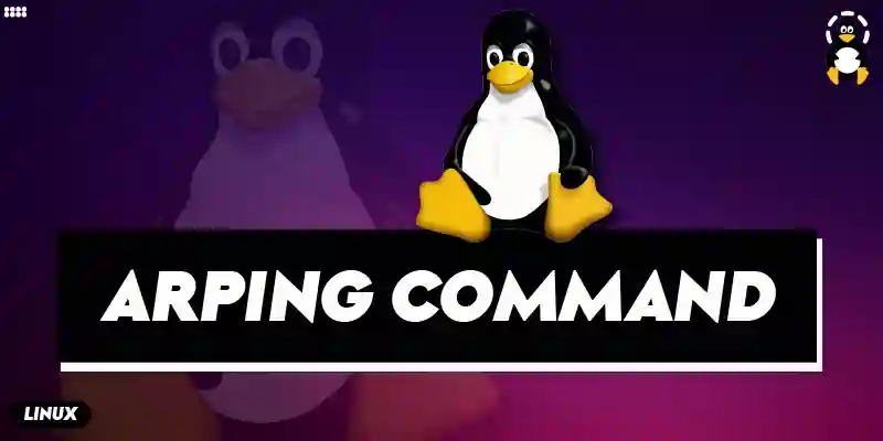 arping Command on Linux Explained