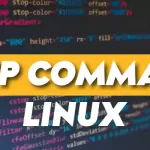 lftp Command in Linux