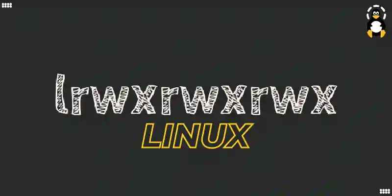 lrwxrwxrwx in Linux