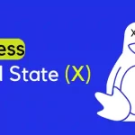 A Process in a State X (Dead)