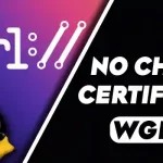 Does curl have a --no-check-certificate Option like wget
