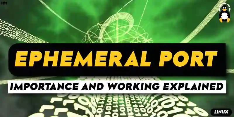 What is Ephemeral port and How it works
