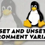 Set and Unset Environment Variables on Linux