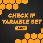 How to Check if a Variable is set in Bash?