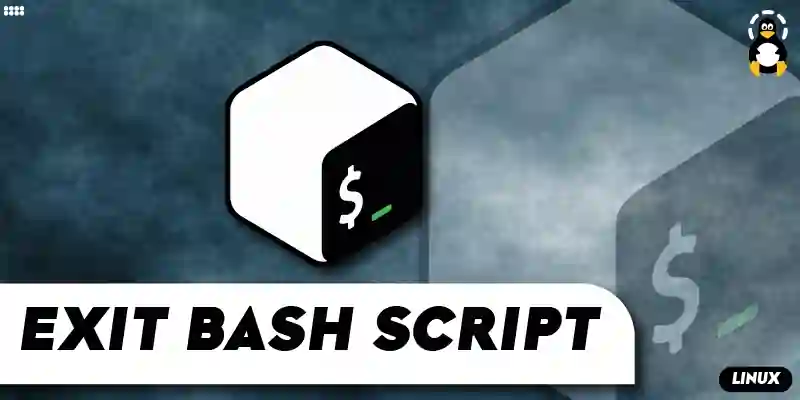 How to Exit the Bash Script if a Certain Condition Occurs