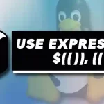 How to Use Expressions $(()), (()) in Bash