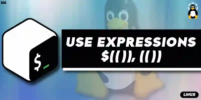 How to Use Expressions $(()), (()) in Bash