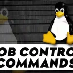 Job Control Commands in Linux_ _ bg, fg and CTRL+Z