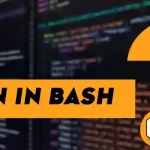 What Does_Mean in Bash