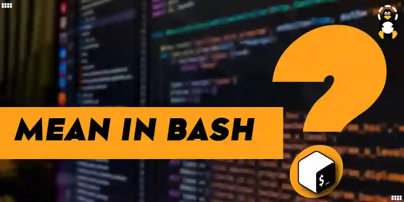 What Does_Mean in Bash