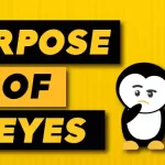 What is the Purpose of XEyes in Linux
