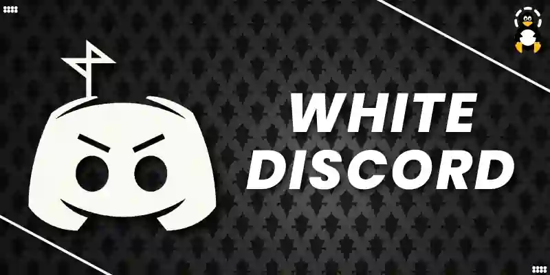 How to Add White Discord Bot