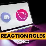 How to Set Up Reaction Roles Discord Bot