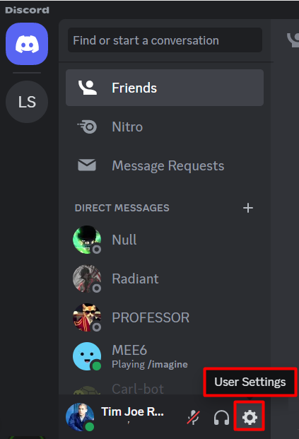 Discord's settings