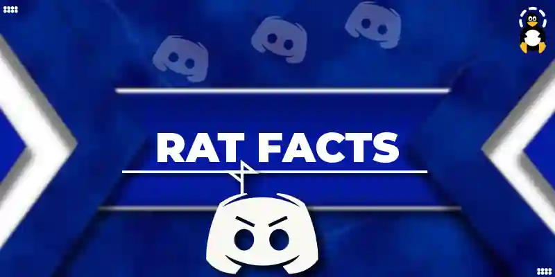 Add rat facts Discord Bot