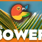 How to Install Bower on Ubuntu