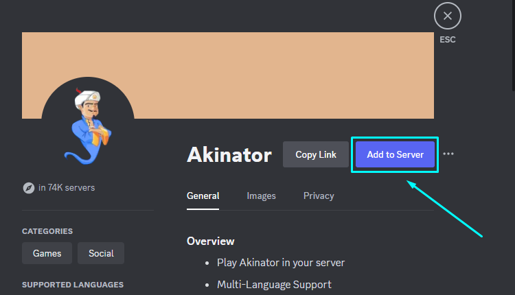 Add Akinator Discord Bot