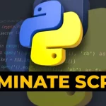 How do I terminate a script - python
