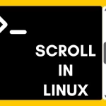 How to Scroll in Ubuntu Terminal