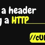 How to Send a Header Using a HTTP Request Through a cURL call