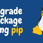 How to Update/Upgrade a Package Using pip