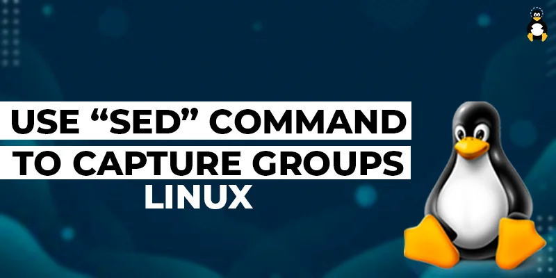 How to Use “sed” Command to Capture Groups in Linux