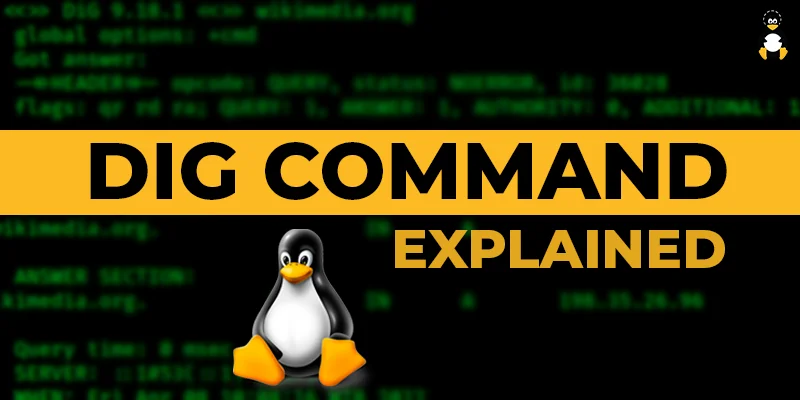 dig Command in Linux Explained