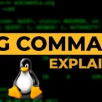 How to Install and Use dig Command on Debian 12