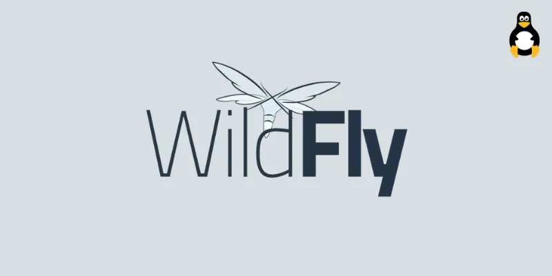 Install wildfly on ubuntu 24.04