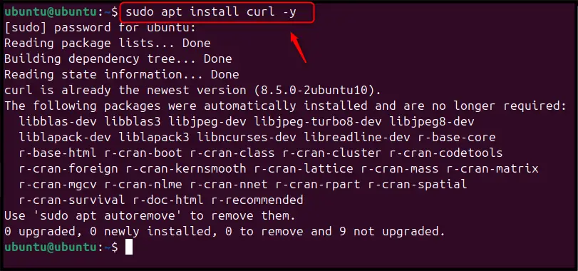 Install Homebrew on Ubuntu 24.04 a