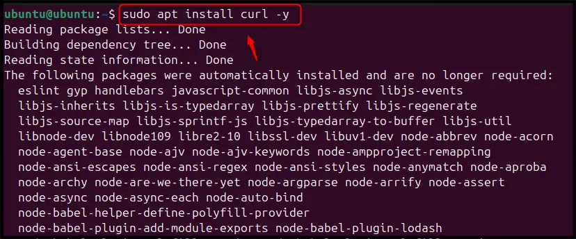 Install NPM on Ubuntu 24.04 e