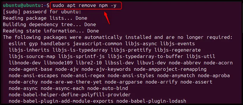 Install NPM on Ubuntu 24.04 d