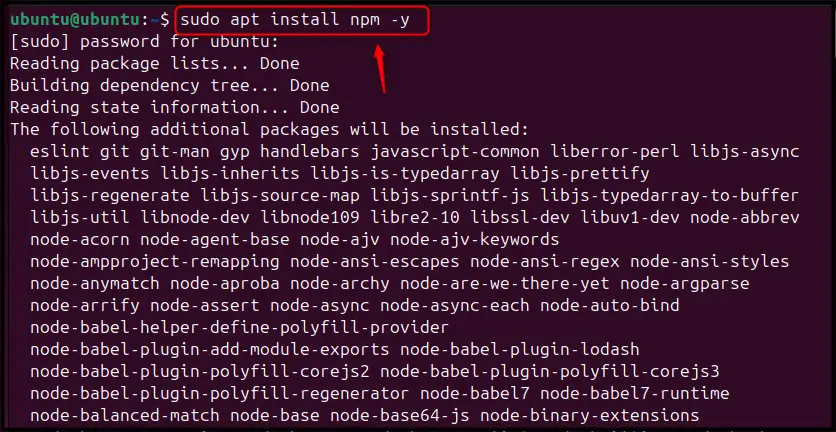 Install NPM on Ubuntu 24.04 b
