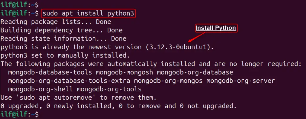 Install Python on Ubuntu 24.04 c