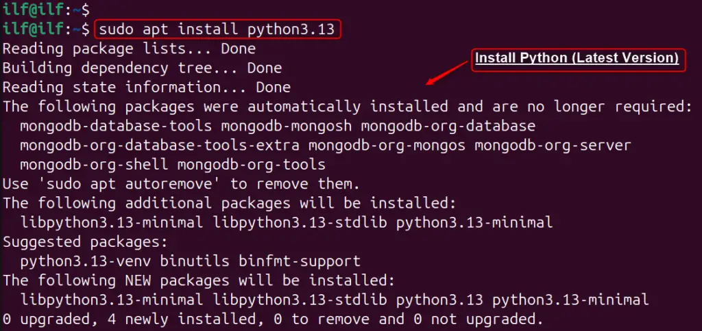 Install Python on Ubuntu 24.04 l