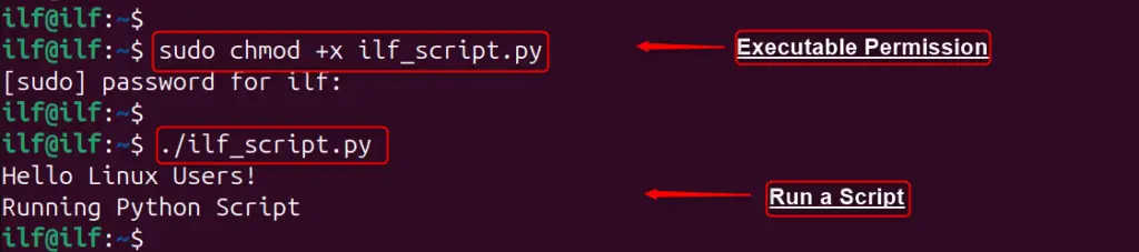 Install Python on Ubuntu 24.04 q