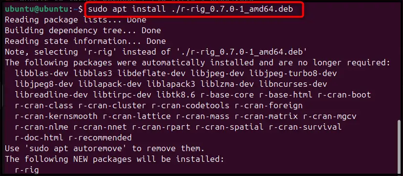 Install R on Ubuntu 24.04 LTS g