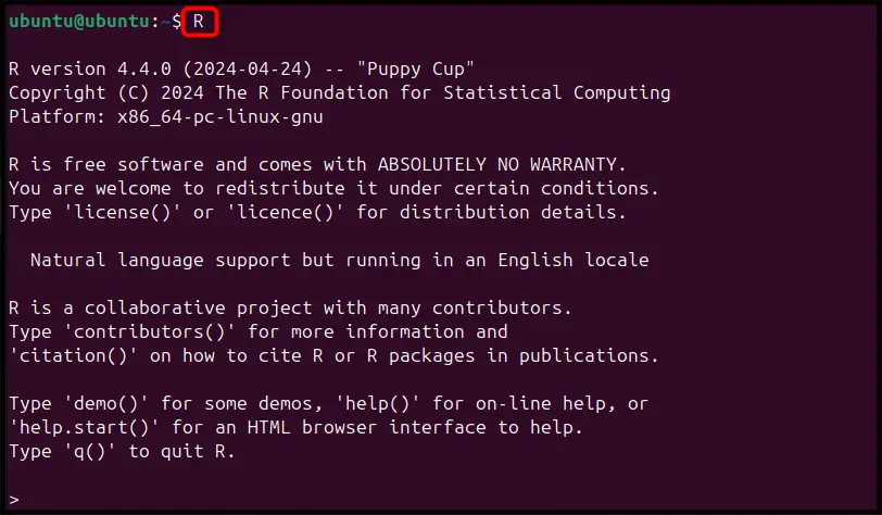 Install R on Ubuntu 24.04 LTS i