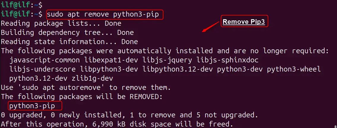 Install Pip3 on Ubuntu 24.04 m