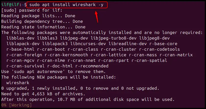 Install Wireshark on Ubuntu 24.04 i