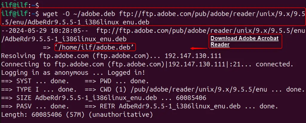 Install Adobe Acrobat Reader On Ubuntu 24.04 A