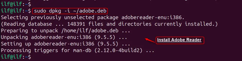 Install Adobe Acrobat Reader On Ubuntu 24.04 D