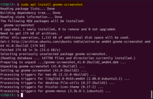 How to Take Screenshots on Ubuntu 24.04 – Its Linux FOSS