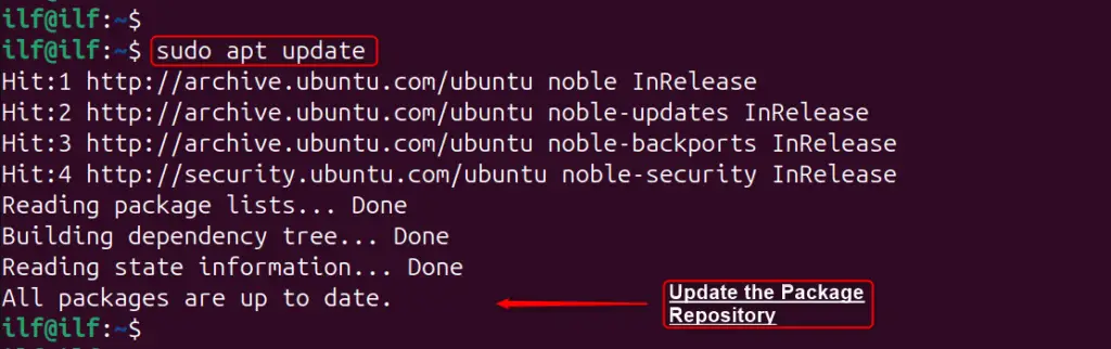 Zsh In Ubuntu 24.04 A
