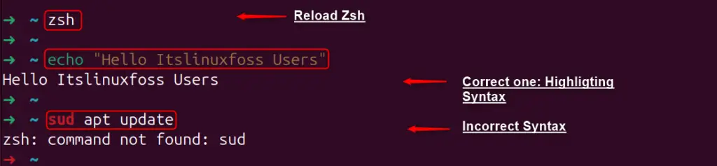 Zsh In Ubuntu 24.04 N