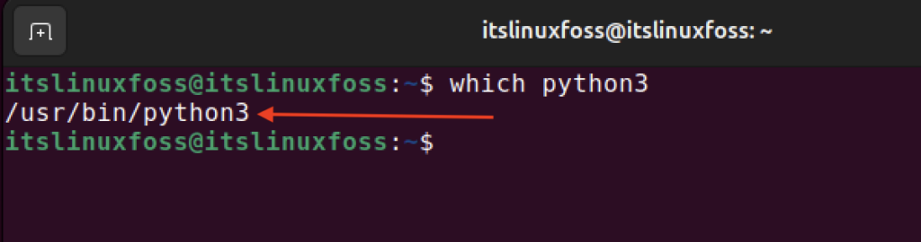 Check Python Version Using Which Command