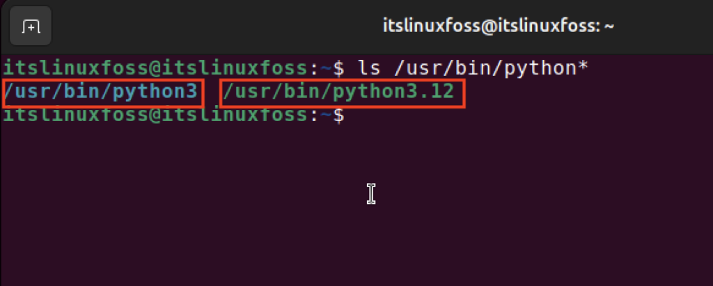 Check Python Version With Ls Command