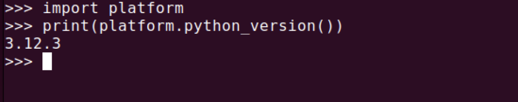 Check Python Version With Platform.python Version()