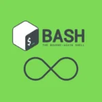 Bash for loop